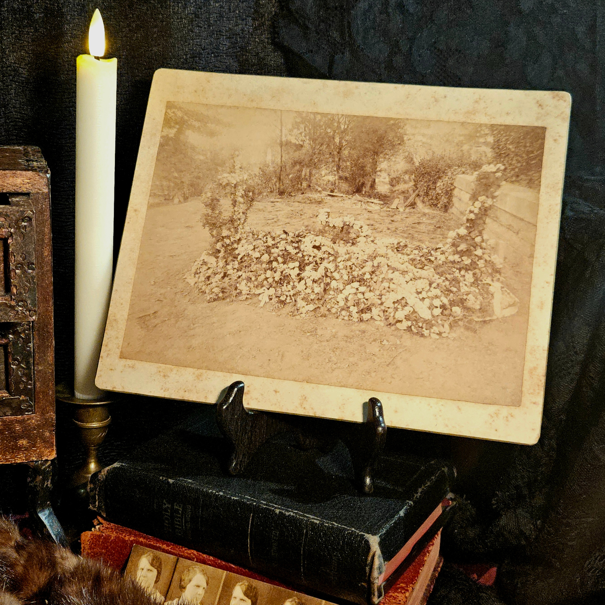 Books & Ephemera