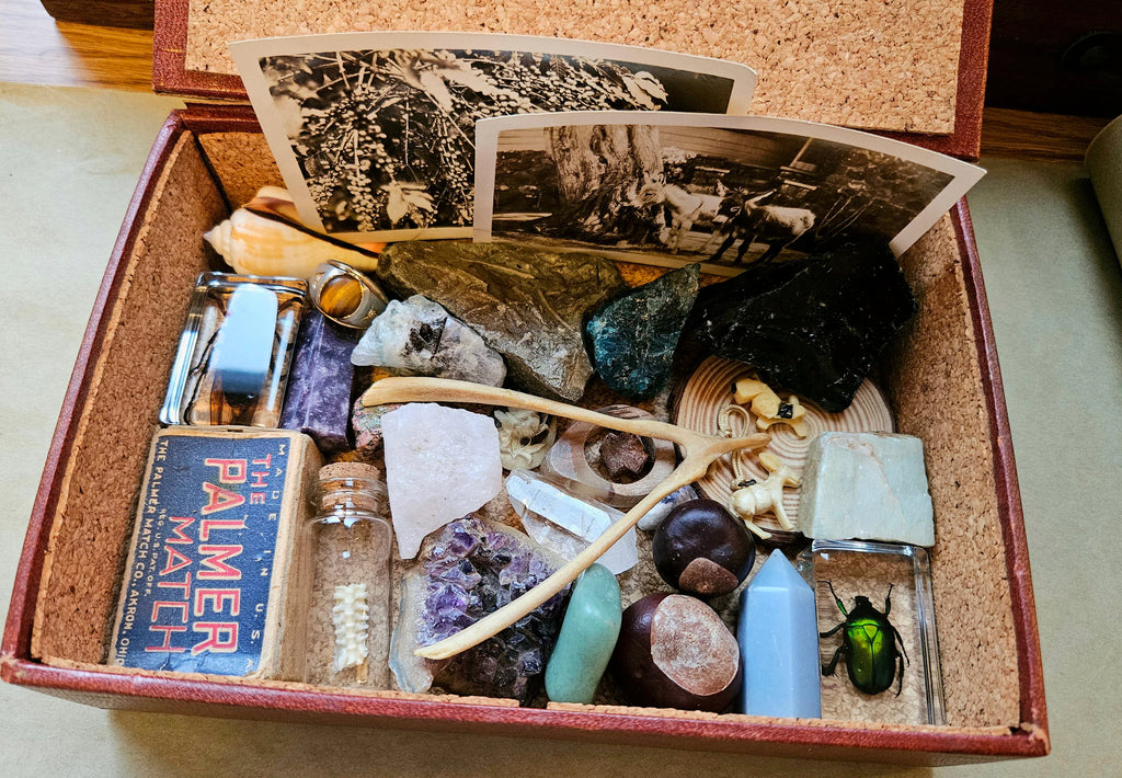 Cabinet of Curiosities Custom Mystery Oddity Box