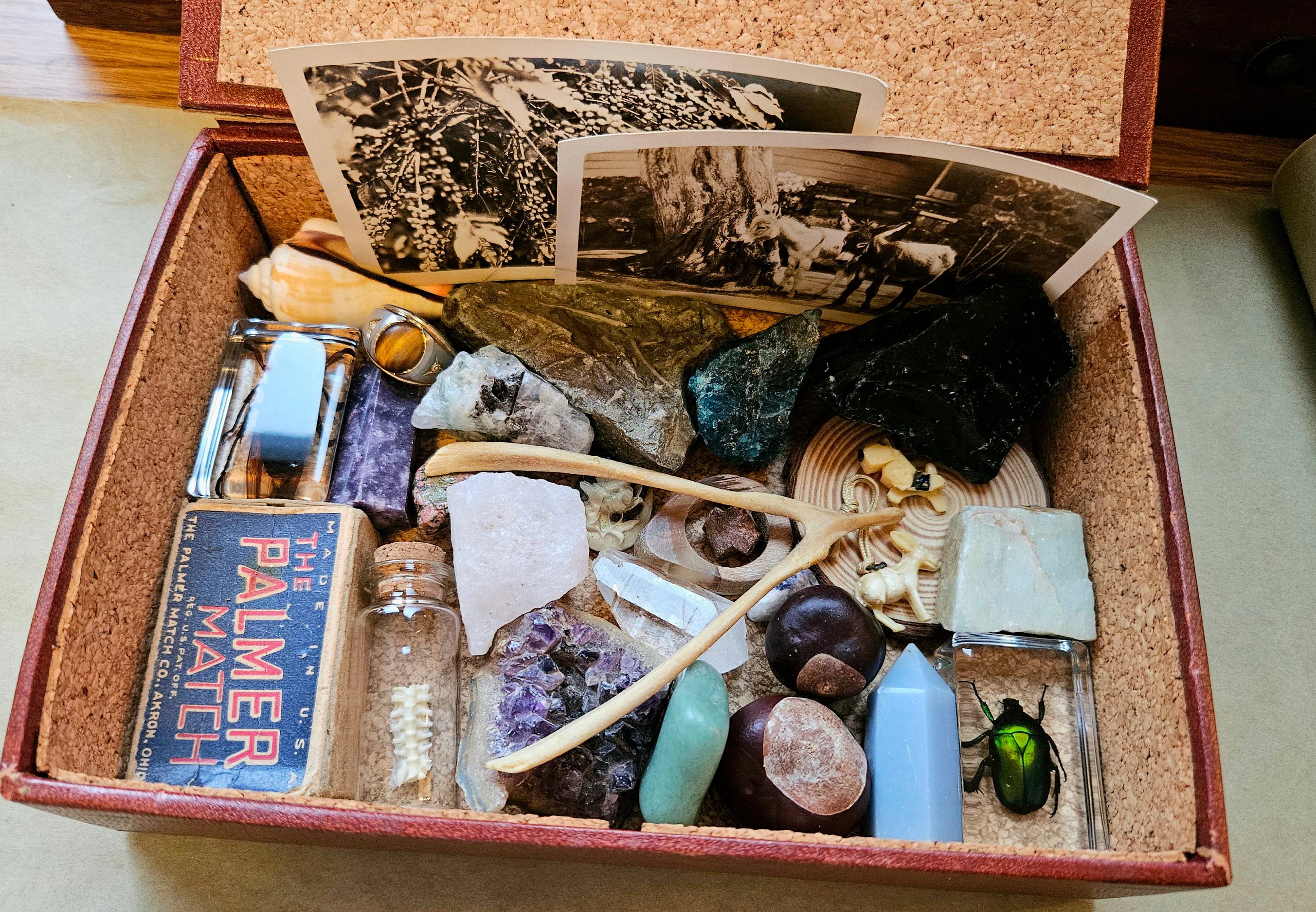 Cabinet of Curiosities Custom Mystery Oddity Box