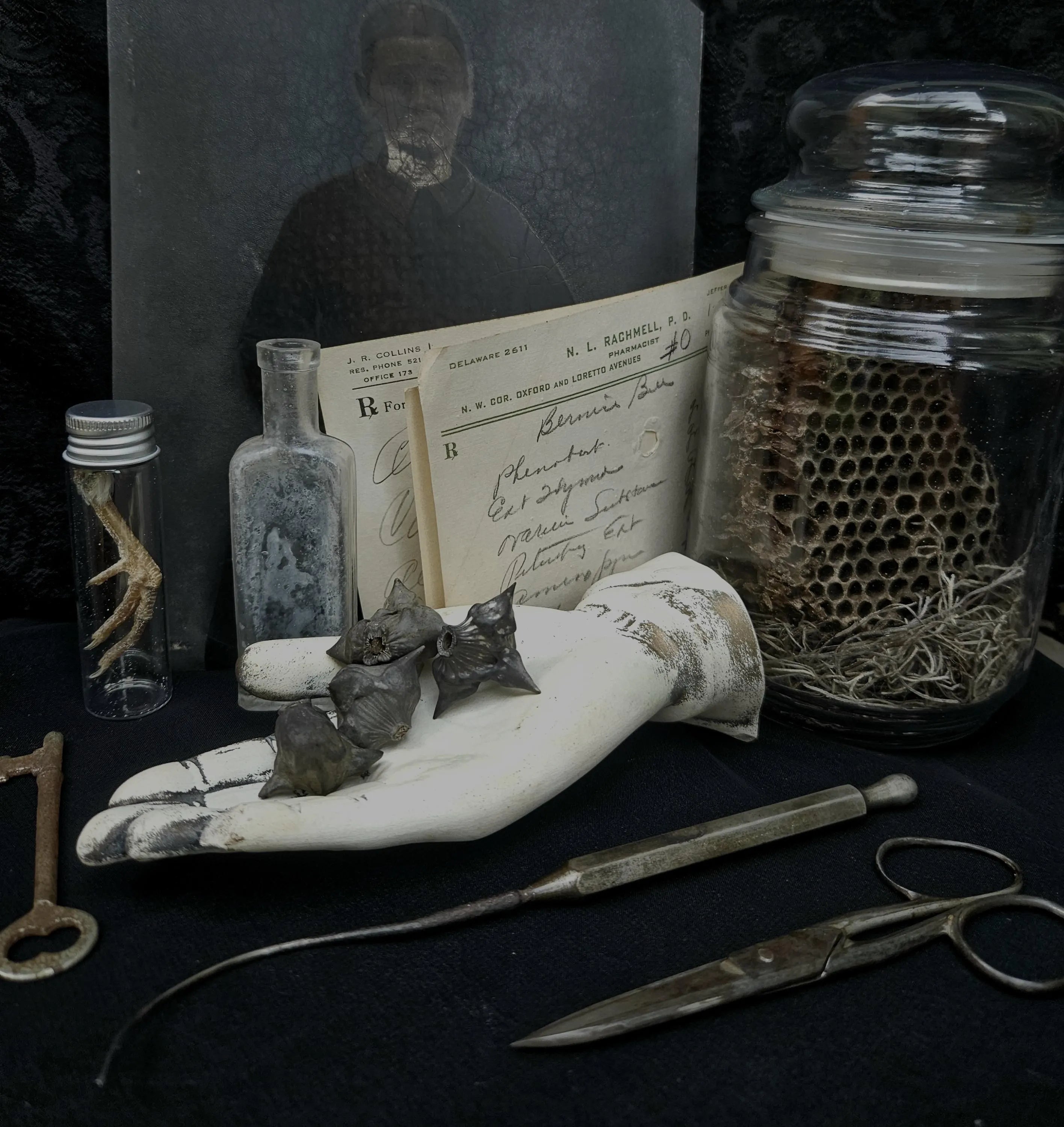 Cabinet of Curiosities Custom Mystery Oddity Box