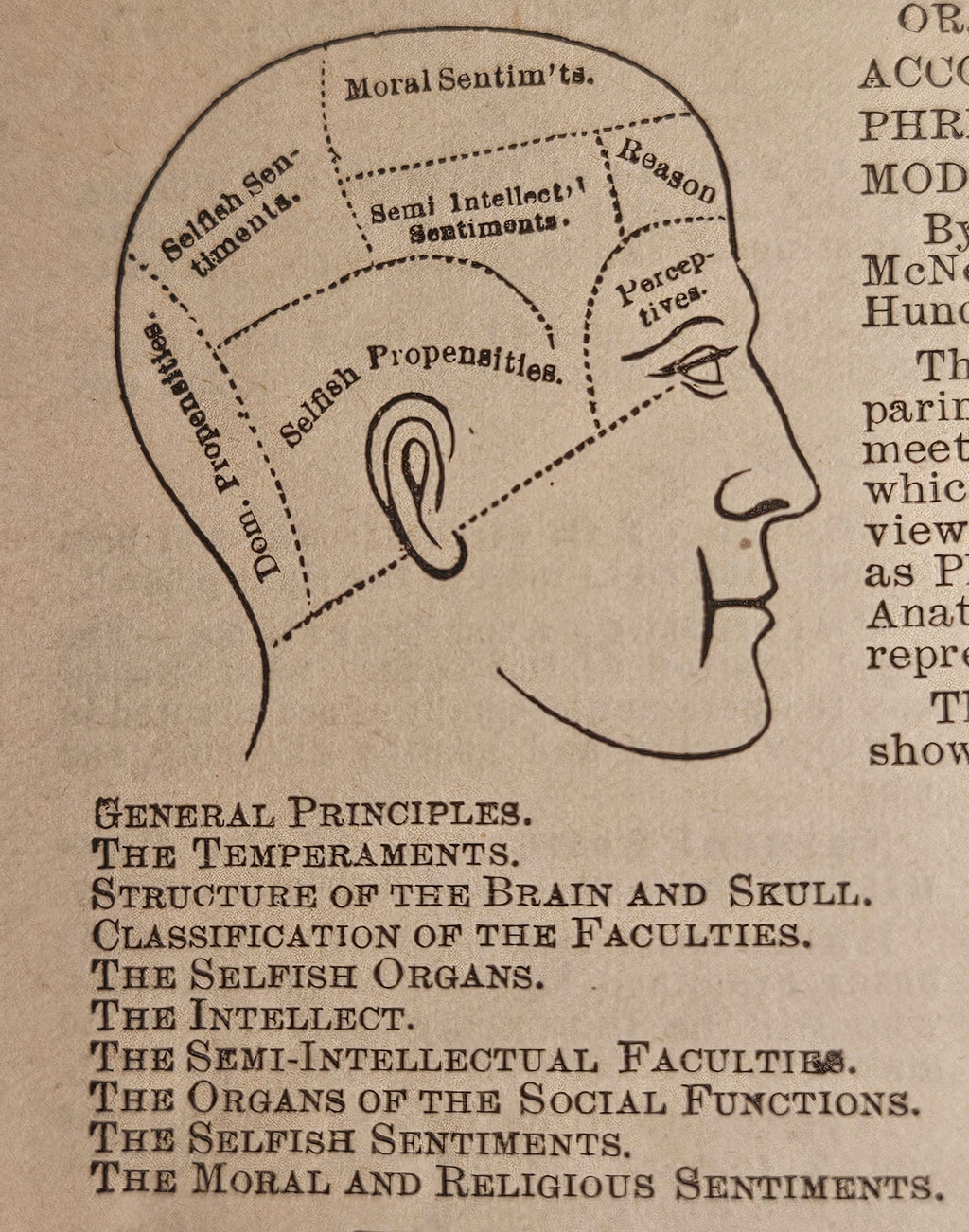 Wells' 1890 New Descriptive Chart Practical Phrenology Pamphlet