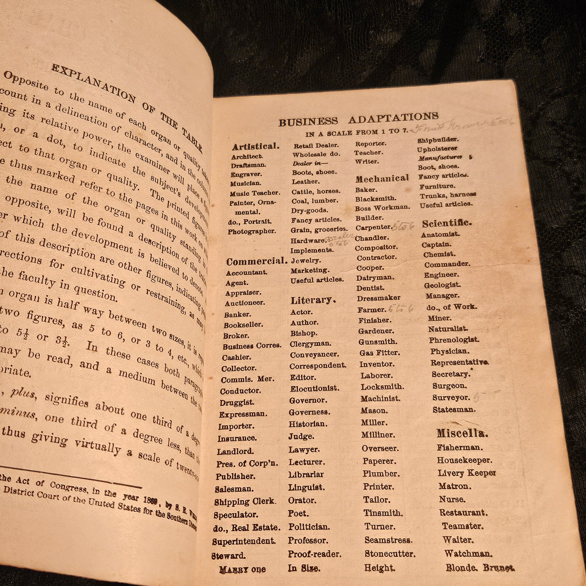 Wells' 1890 New Descriptive Chart Practical Phrenology Pamphlet