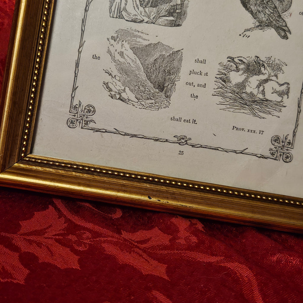 Antique 'Bible in Symbols' Framed Print