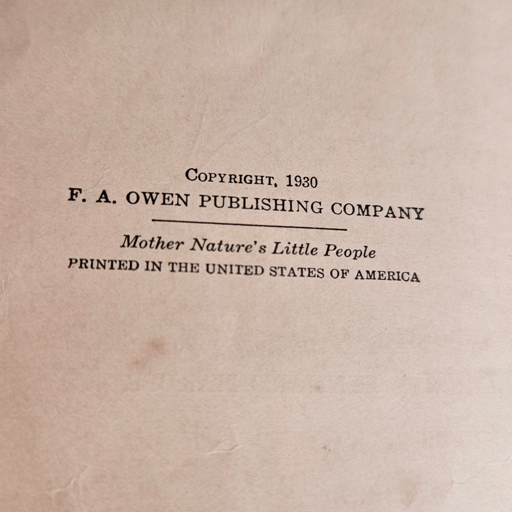 Mother Nature's Little People Antique Illustrated Storybook