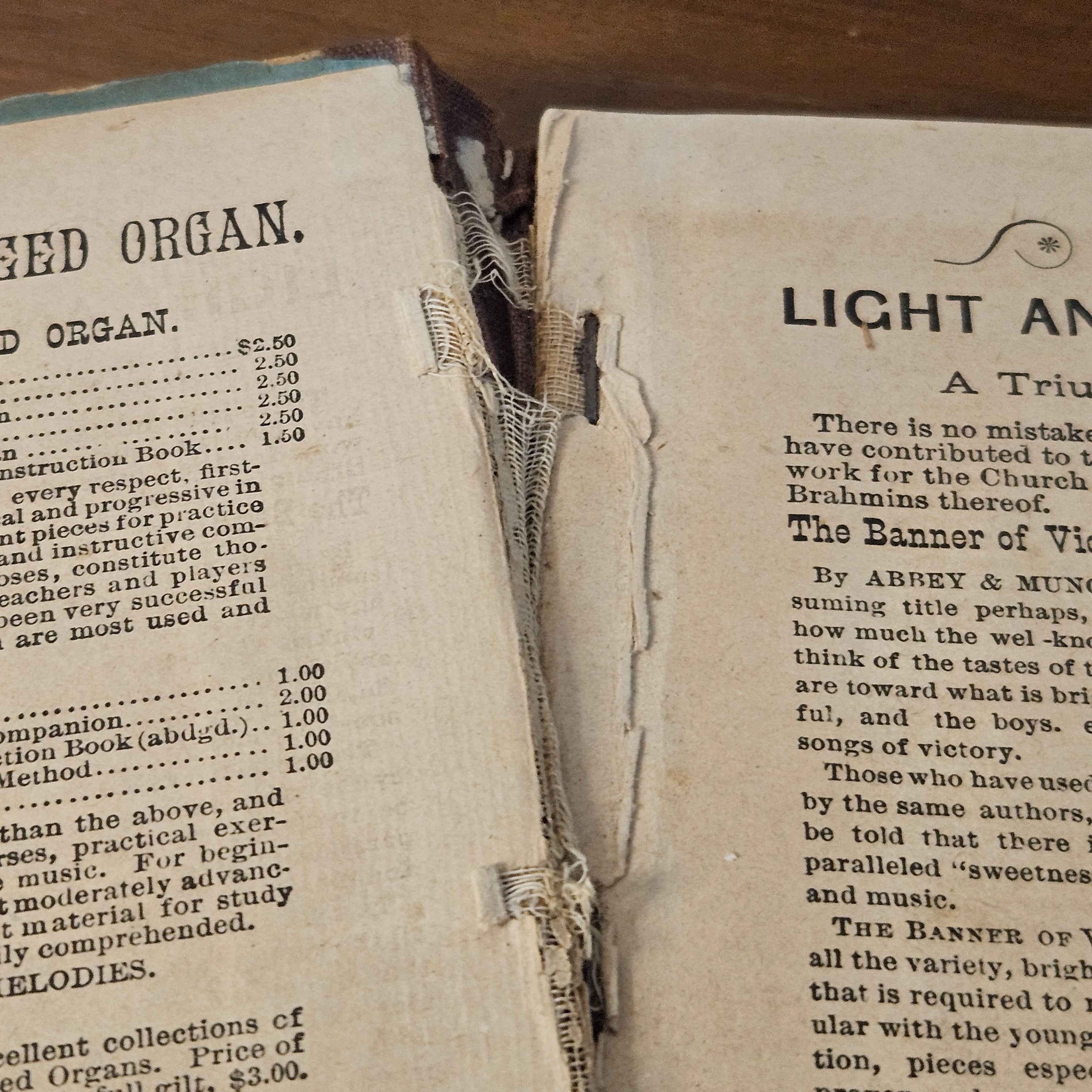 Victorian Golden Robin Arsenic Cover Poison Book