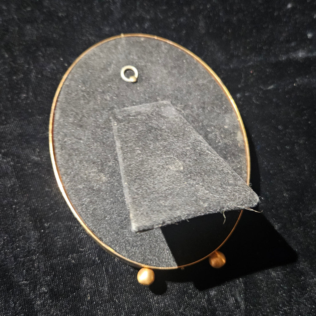 Antique Photograph & Tiger Moth Gold Oval Frame Shadowbox