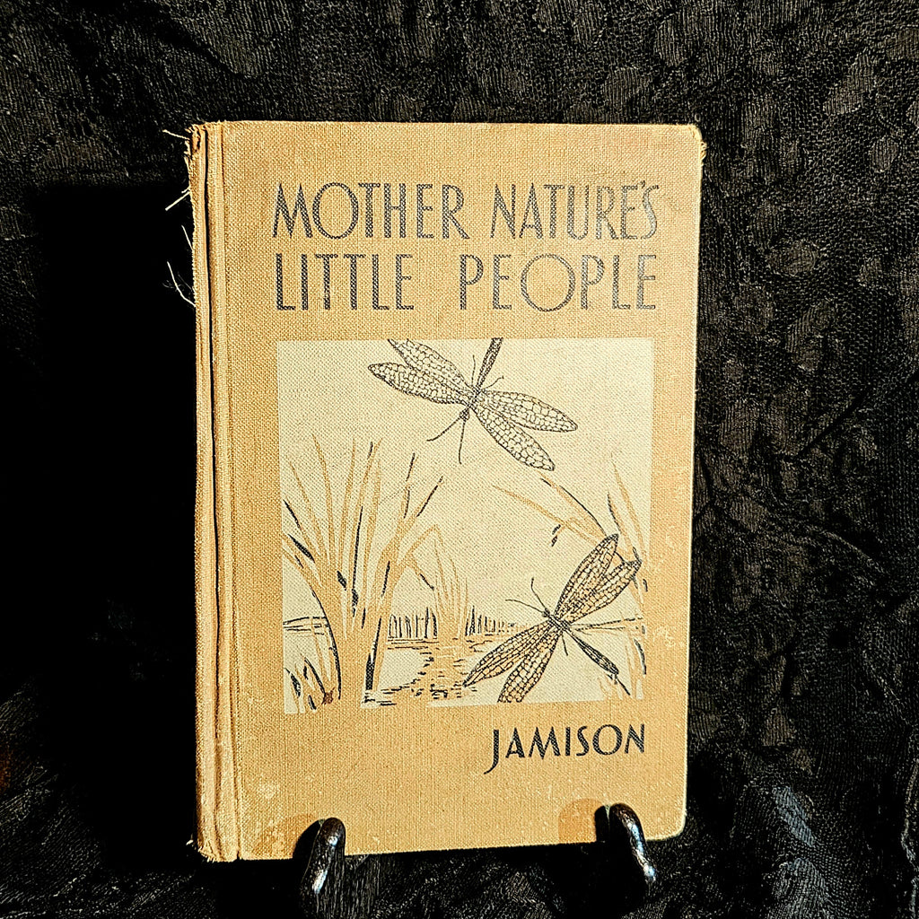 Mother Nature's Little People Antique Illustrated Storybook