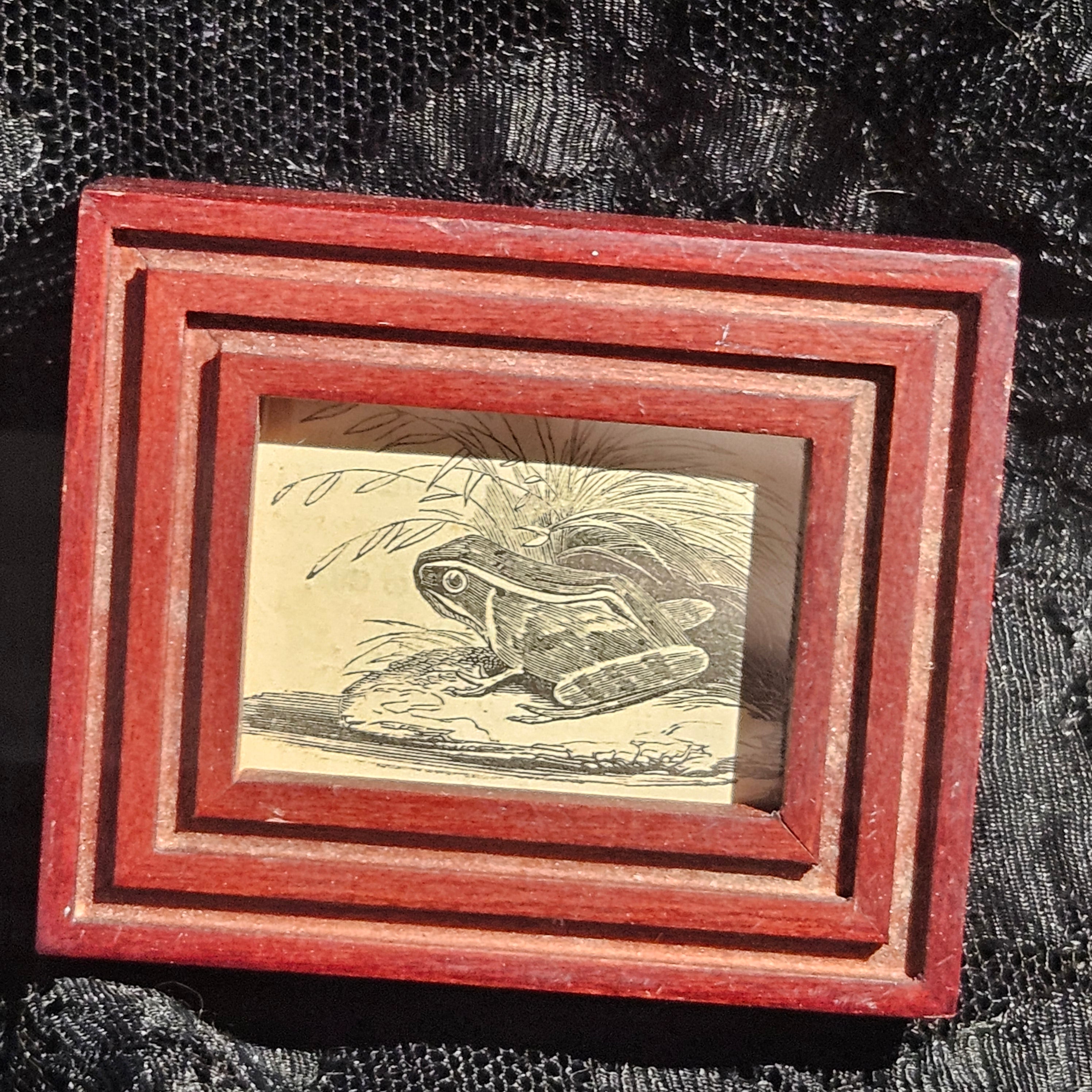 Mini Antique Victorian Frog Framed Illustration