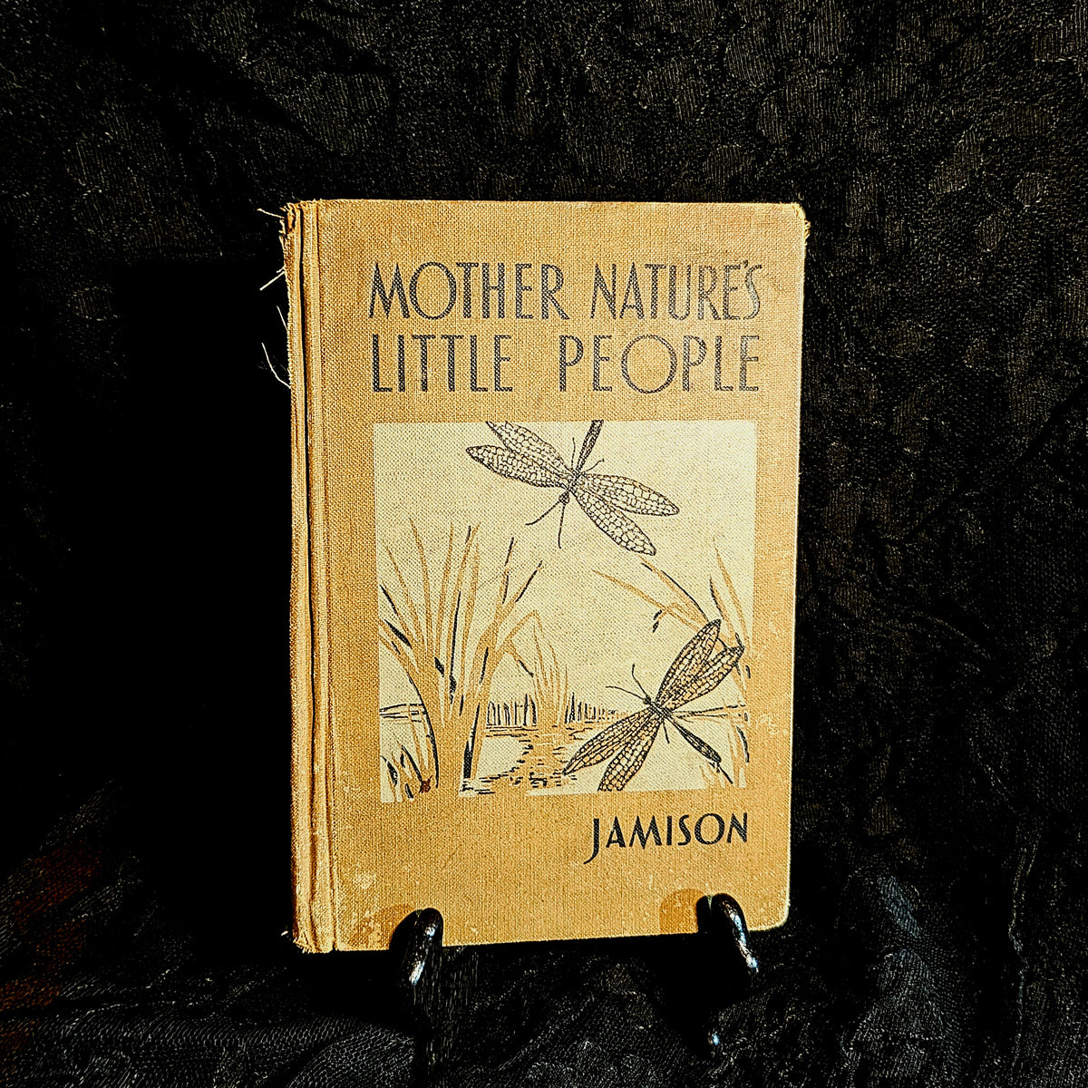 Mother Nature's Little People Antique Illustrated Storybook
