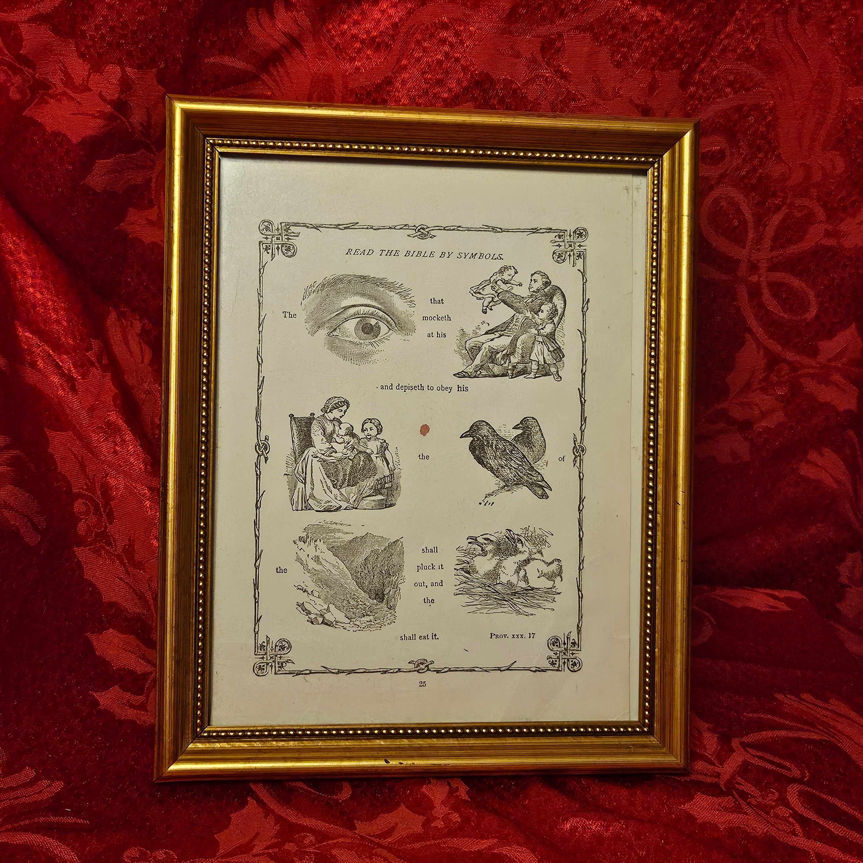 Antique 'Bible in Symbols' Framed Print