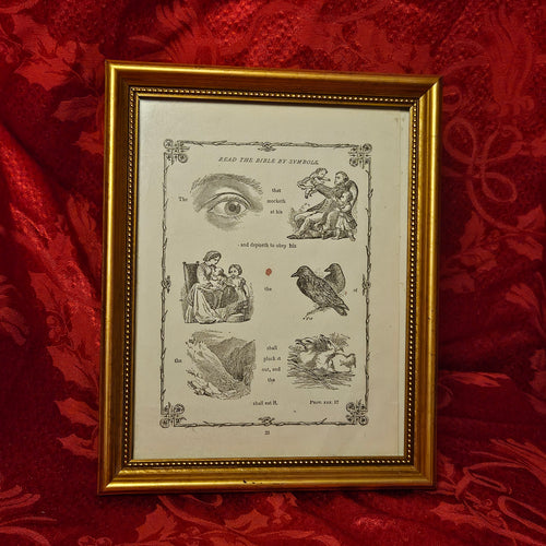 Antique 'Bible in Symbols' Framed Print