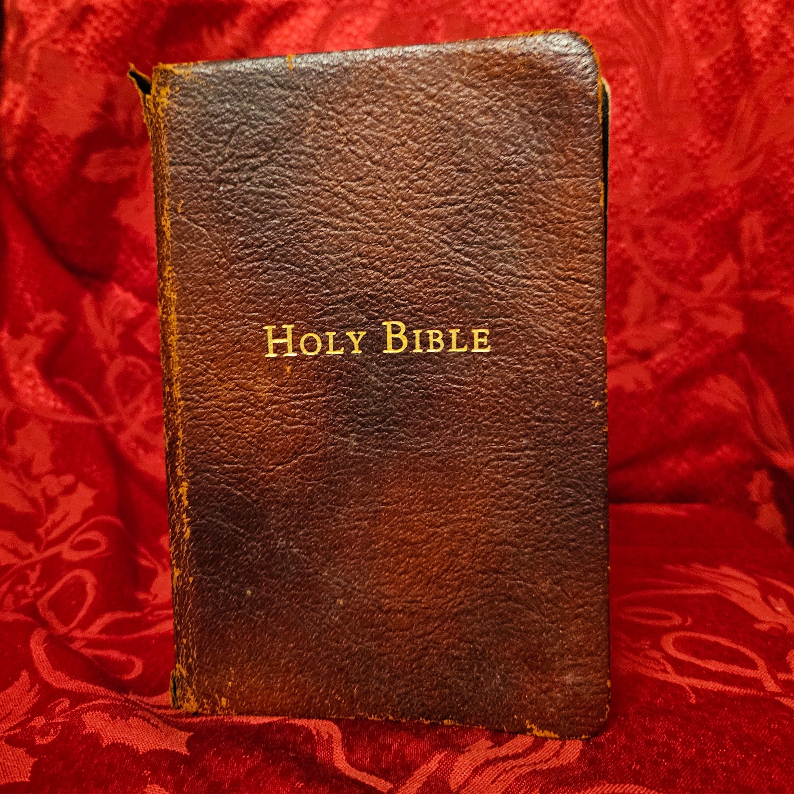 Vintage Leatherbound Bible