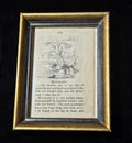 Antique Victorian Mandrake Framed Book Illustration