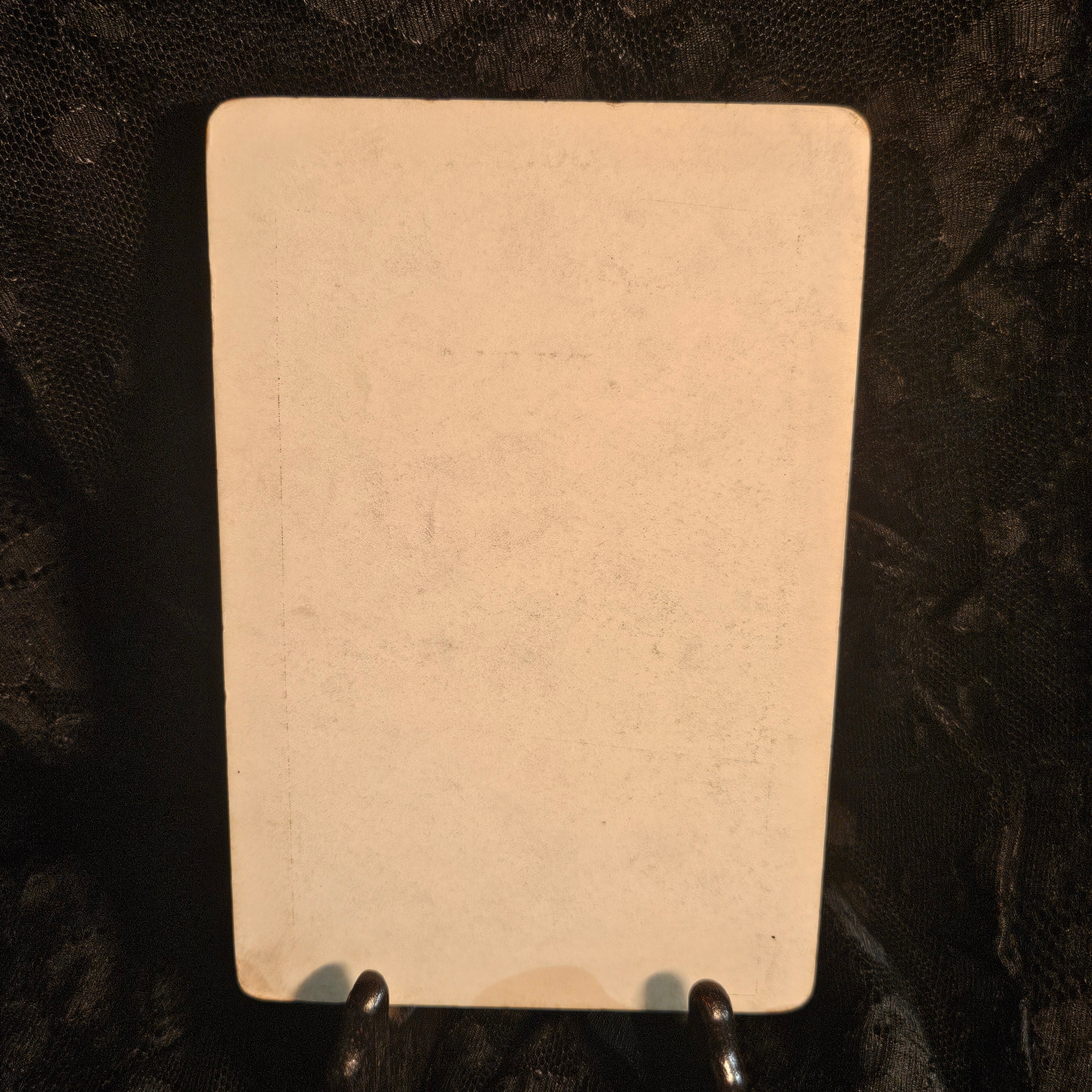 Antique Funeral Mourning Cabinet Card: Mary Tignor