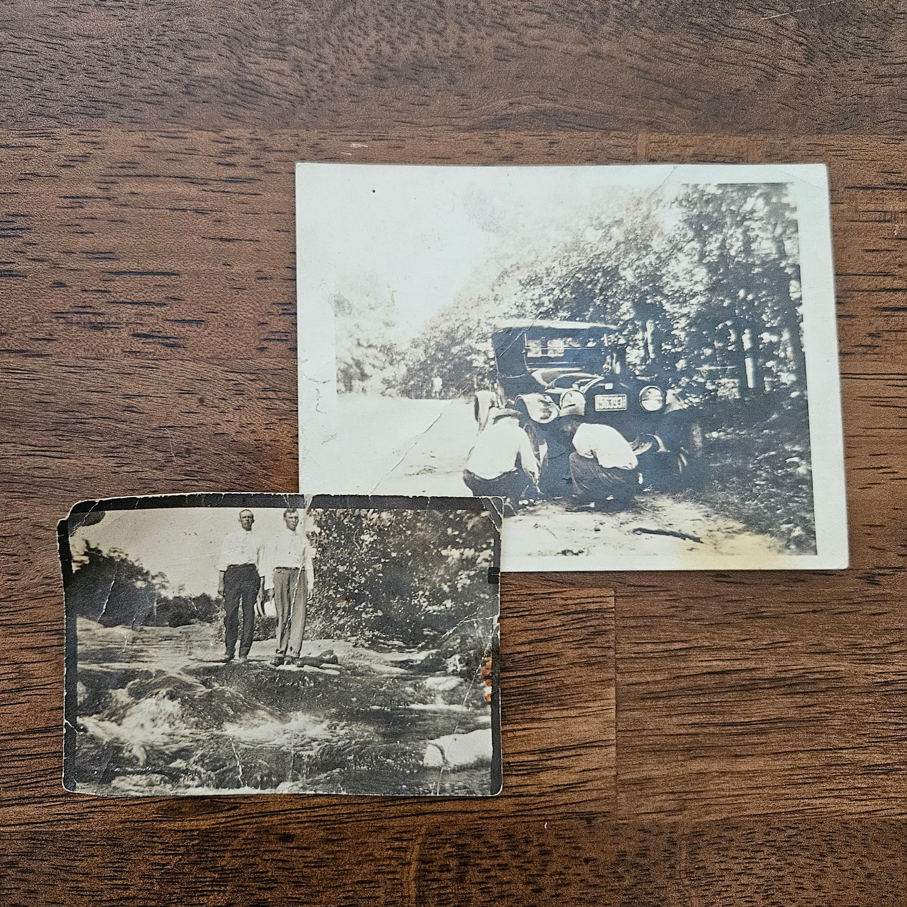 Antique 1900s Nature and People Photo Set