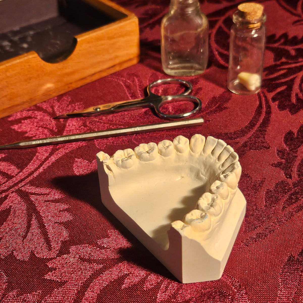 The Doctor's Drawer Mini Curiosity Box