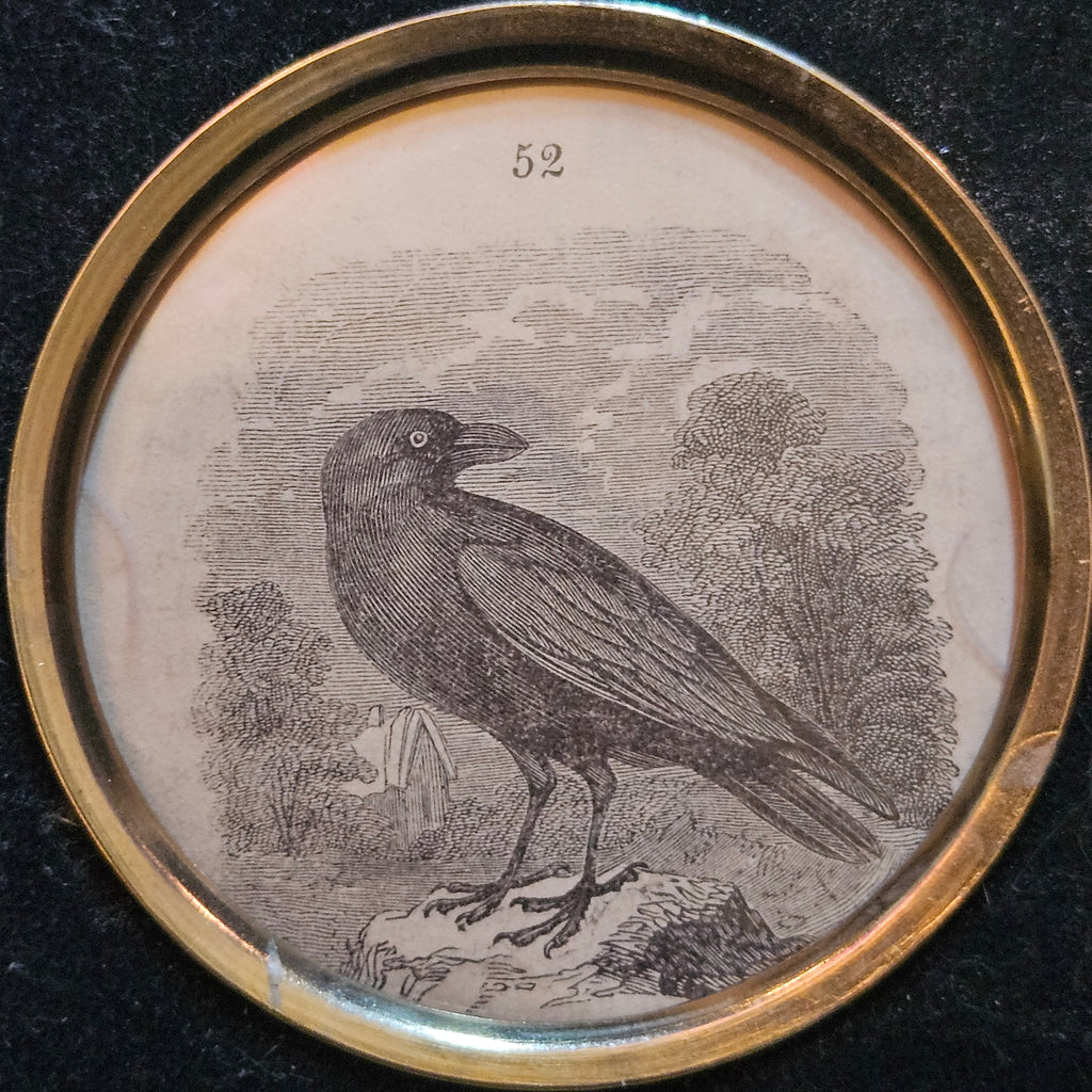 Antique Victorian Raven Framed Book Illustration