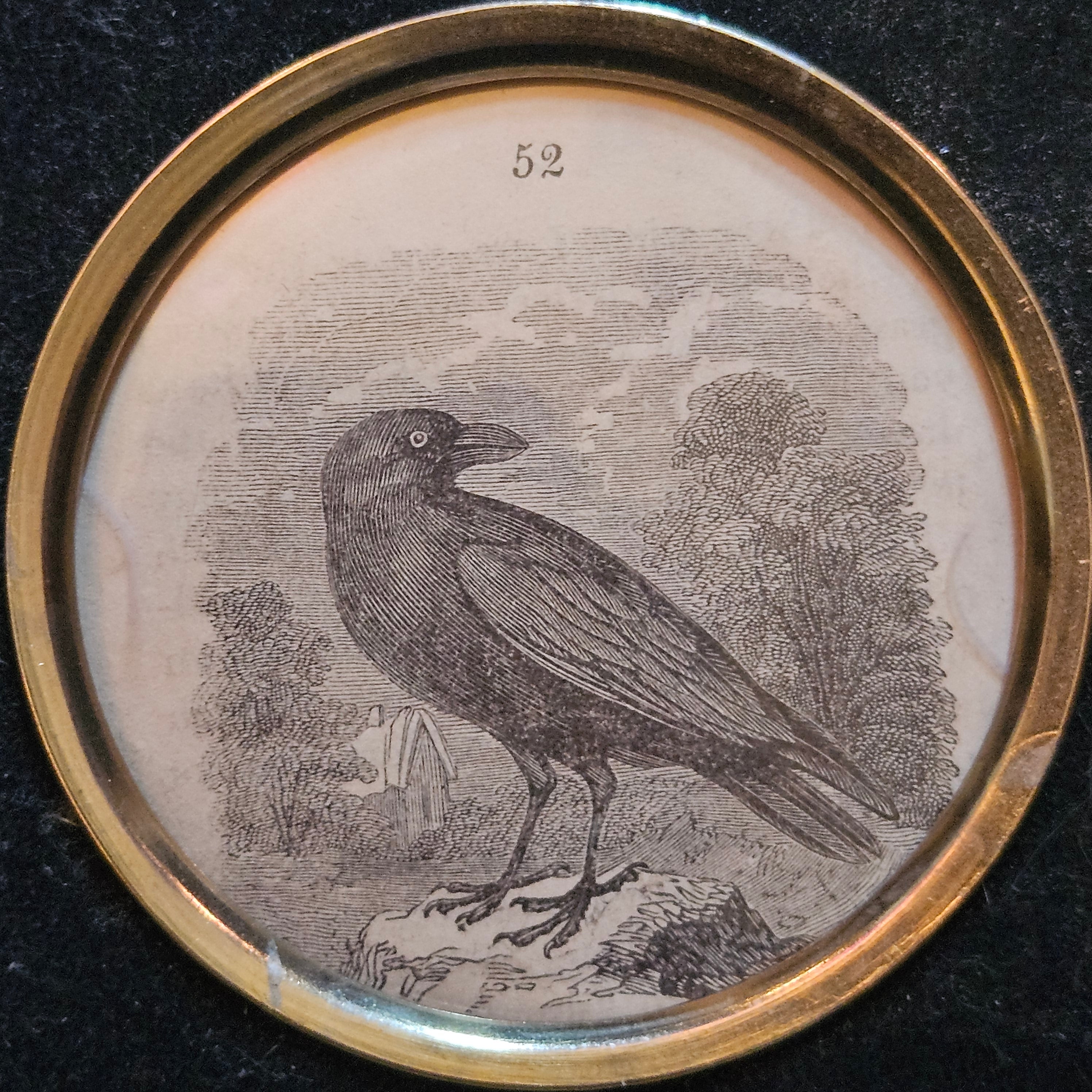 Antique Victorian Raven Framed Book Illustration