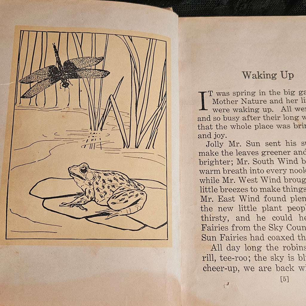 Mother Nature's Little People Antique Illustrated Storybook