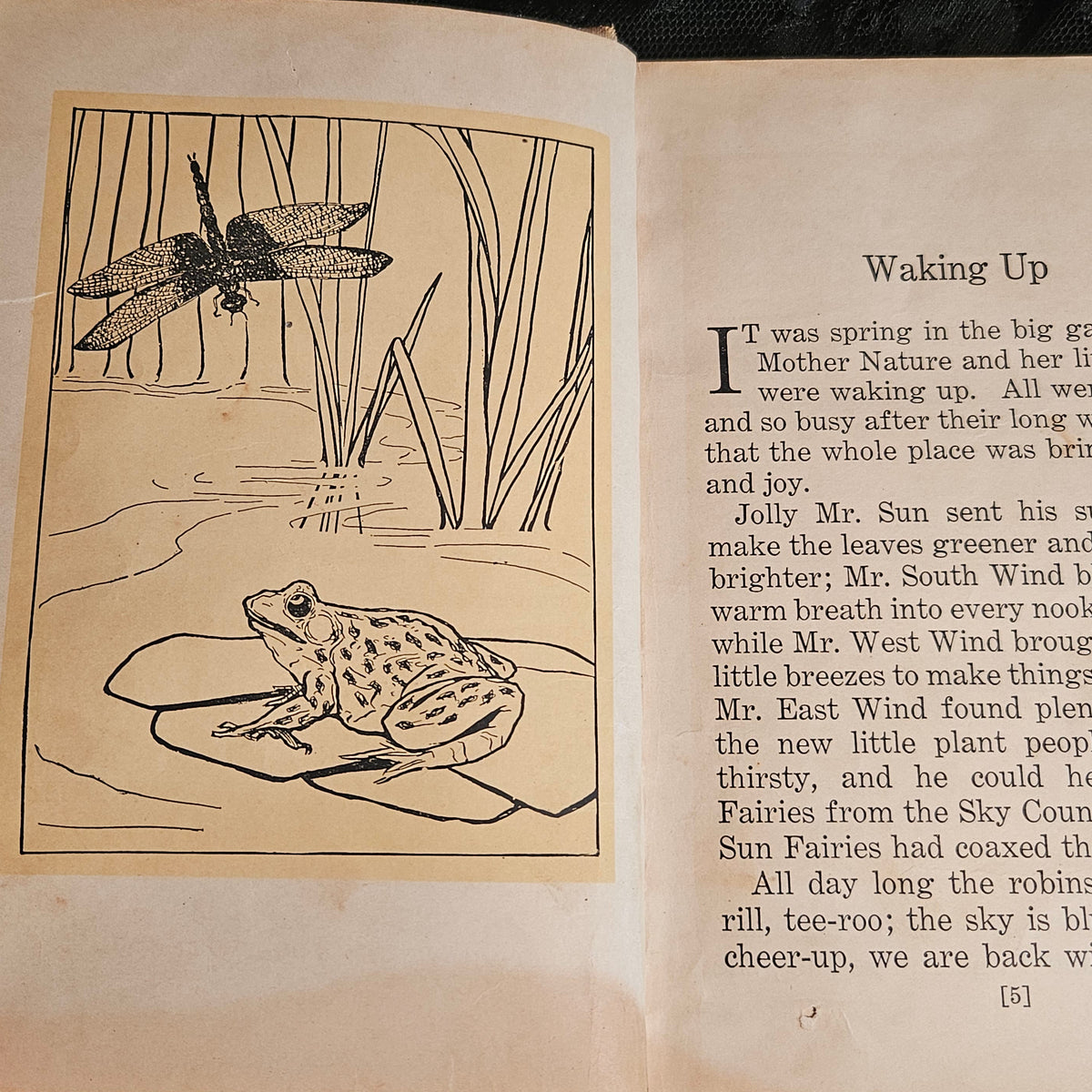 Mother Nature's Little People Antique Illustrated Storybook