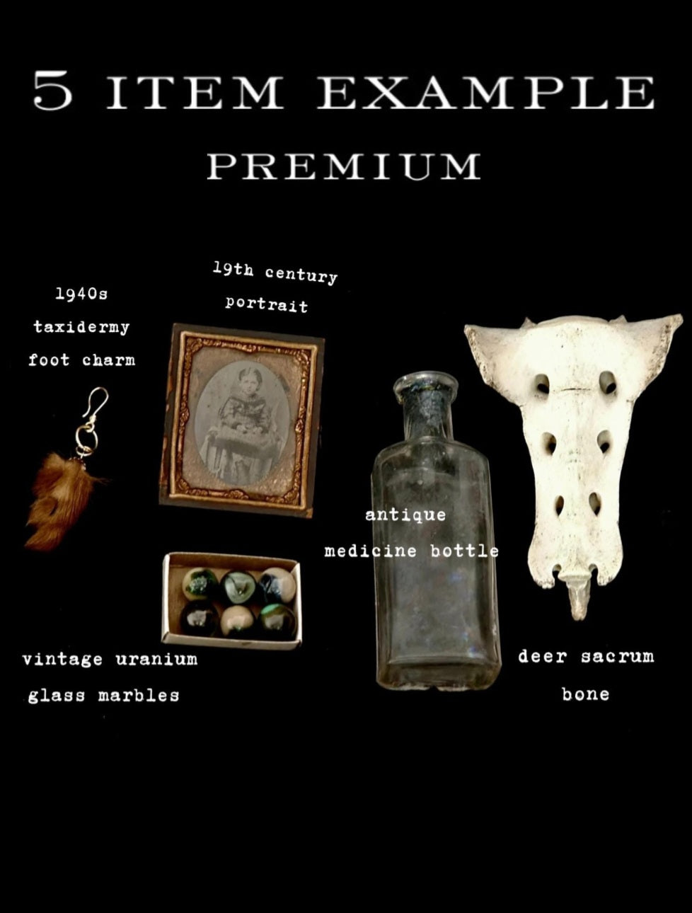 Cabinet of Curiosities Custom Mystery Oddity Box