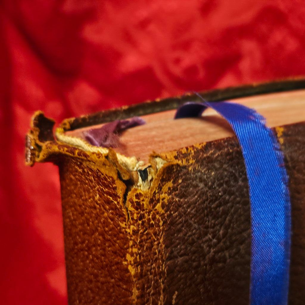 Vintage Leatherbound Bible