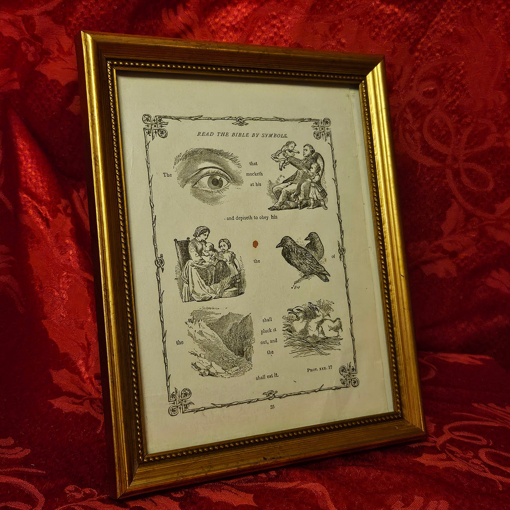 Antique 'Bible in Symbols' Framed Print