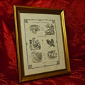 Antique 'Bible in Symbols' Framed Print