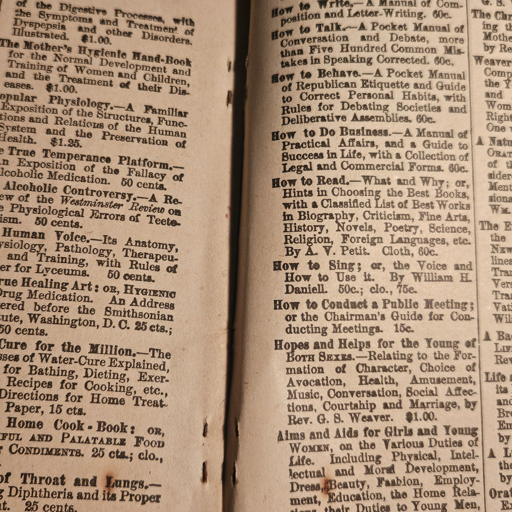 Wells' 1890 New Descriptive Chart Practical Phrenology Pamphlet