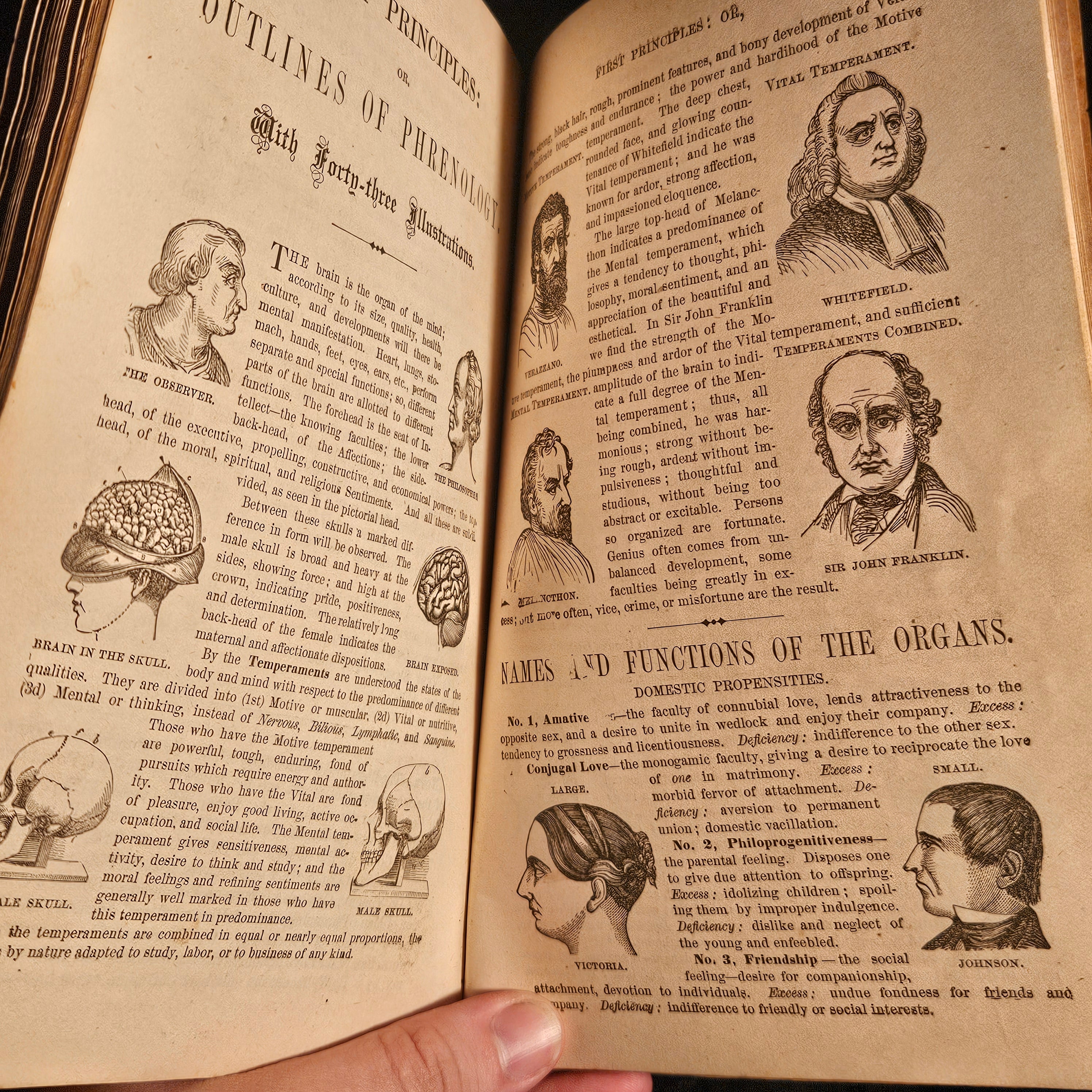 Wells' 1890 New Descriptive Chart Practical Phrenology Pamphlet