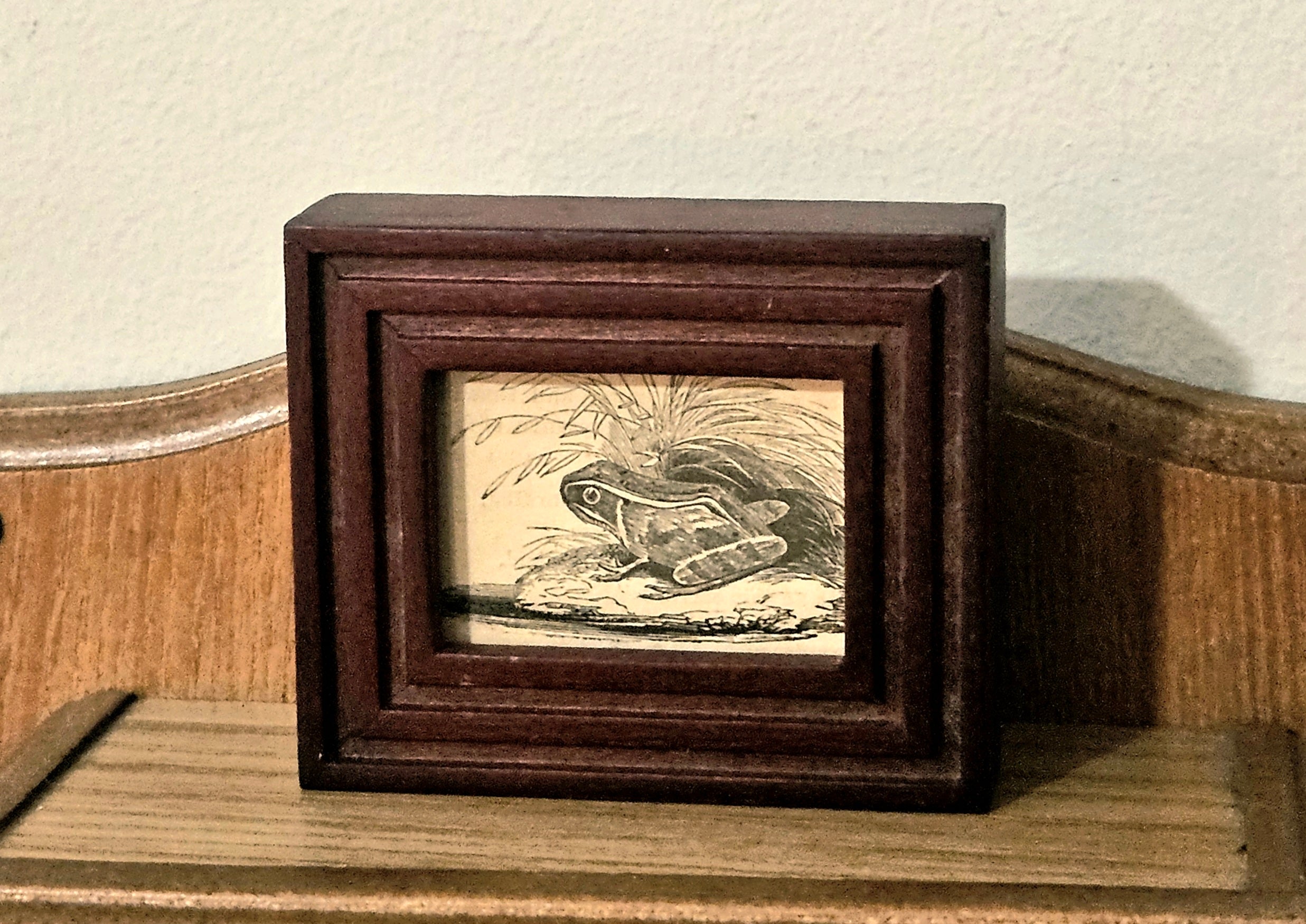 Mini Antique Victorian Frog Framed Illustration