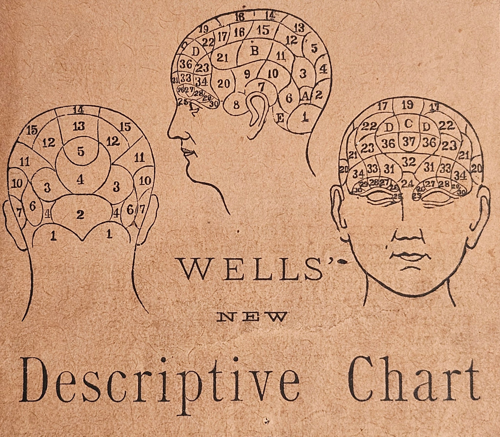 Wells' 1890 New Descriptive Chart Practical Phrenology Pamphlet