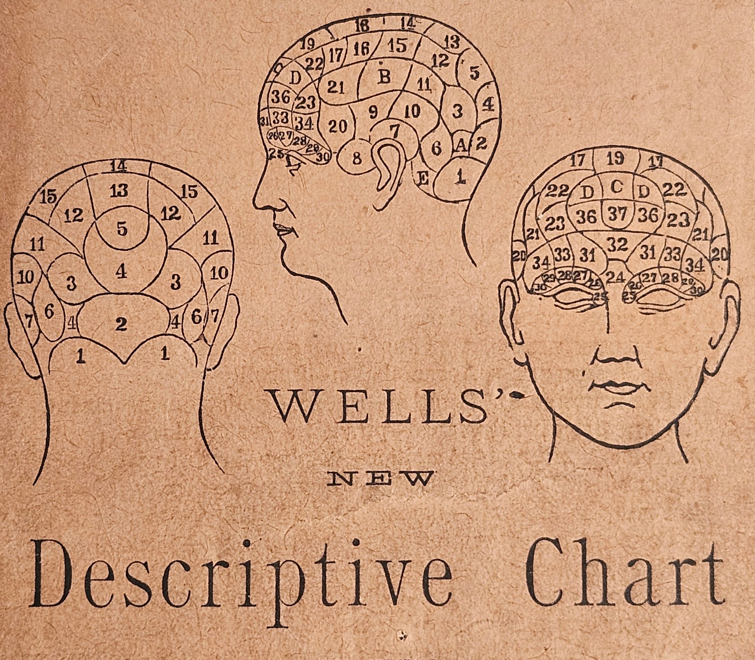 Wells' 1890 New Descriptive Chart Practical Phrenology Pamphlet