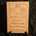 Wells' 1890 New Descriptive Chart Practical Phrenology Pamphlet