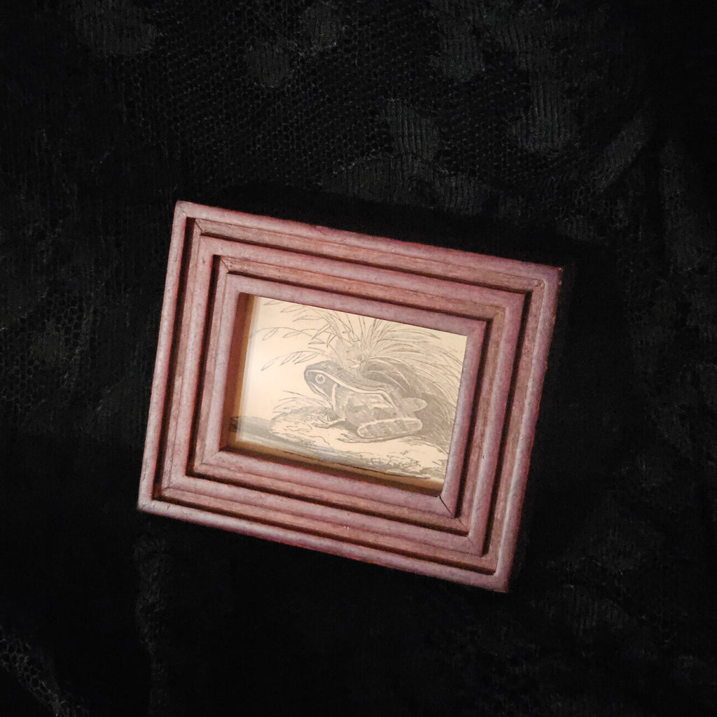 Mini Antique Victorian Frog Framed Illustration