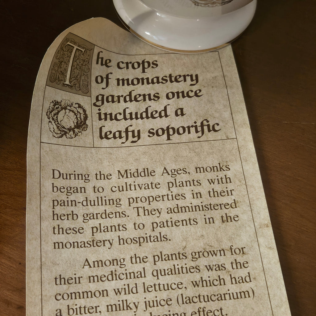 Vintage Lettuce Opium Apothecary Ceramic Jar
