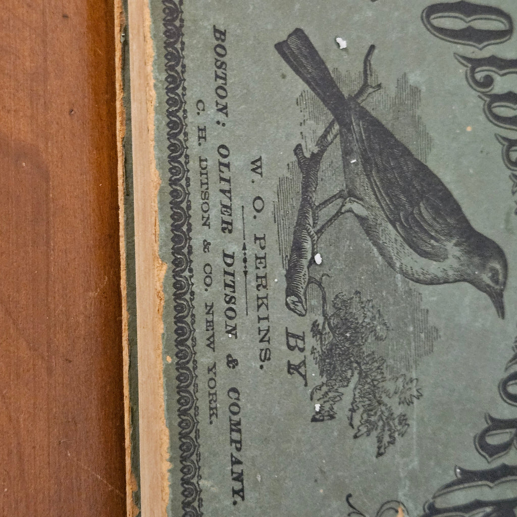 Victorian Golden Robin Arsenic Cover Poison Book