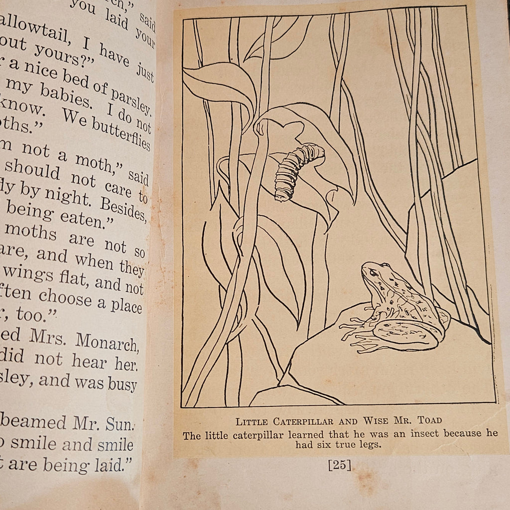 Mother Nature's Little People Antique Illustrated Storybook