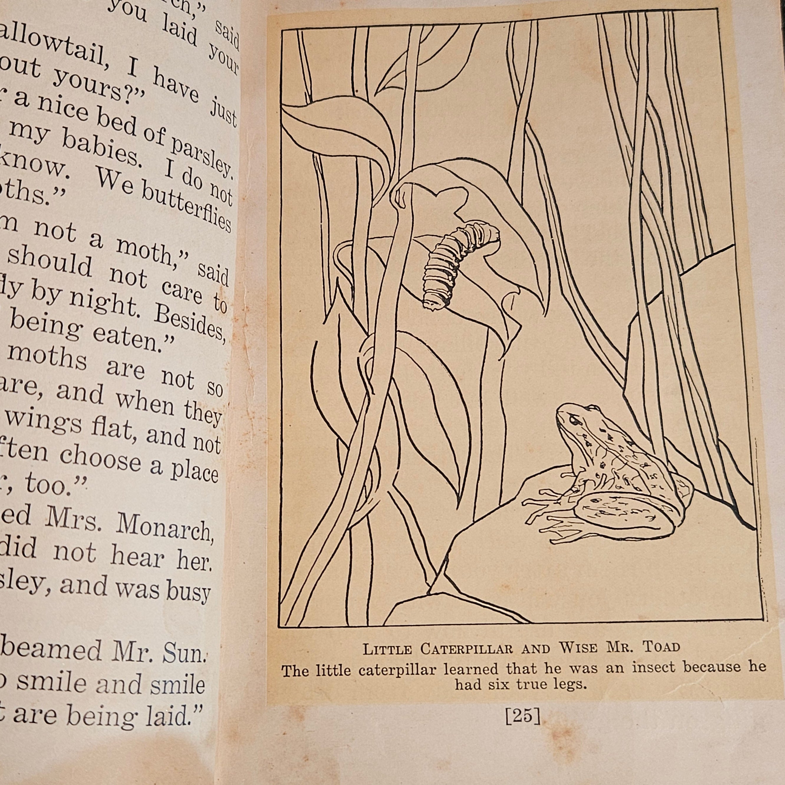 Mother Nature's Little People Antique Illustrated Storybook