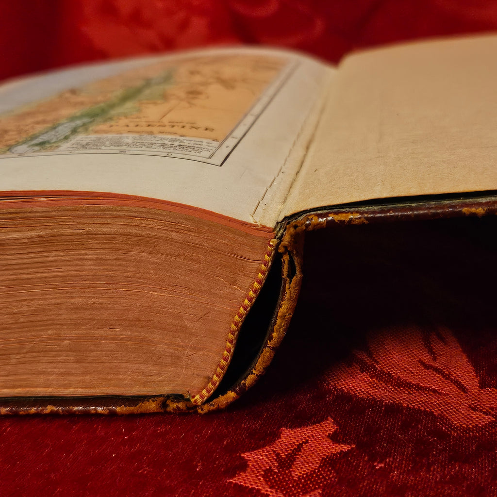 Vintage Leatherbound Bible