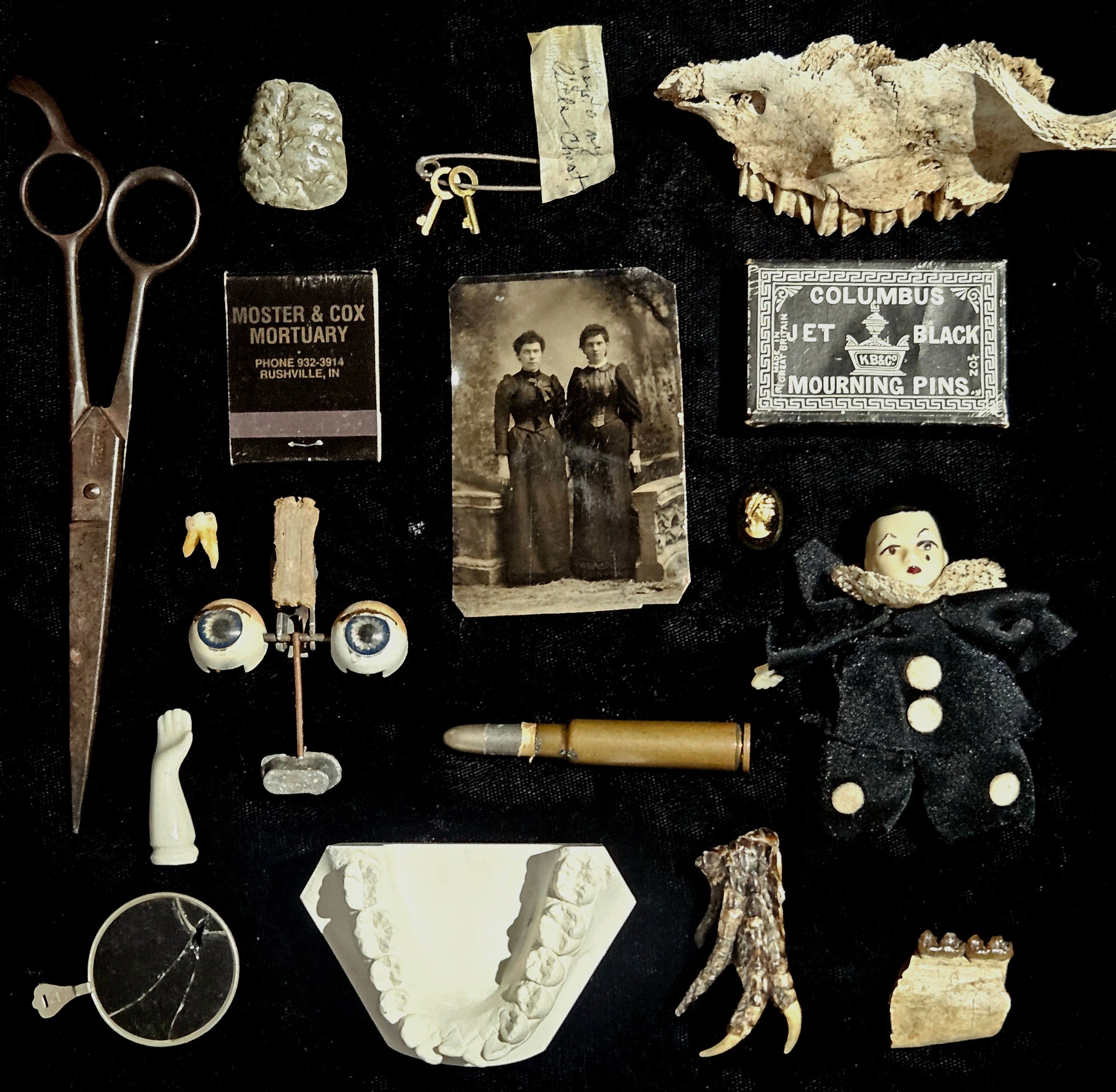 Cabinet of Curiosities Custom Mystery Oddity Box