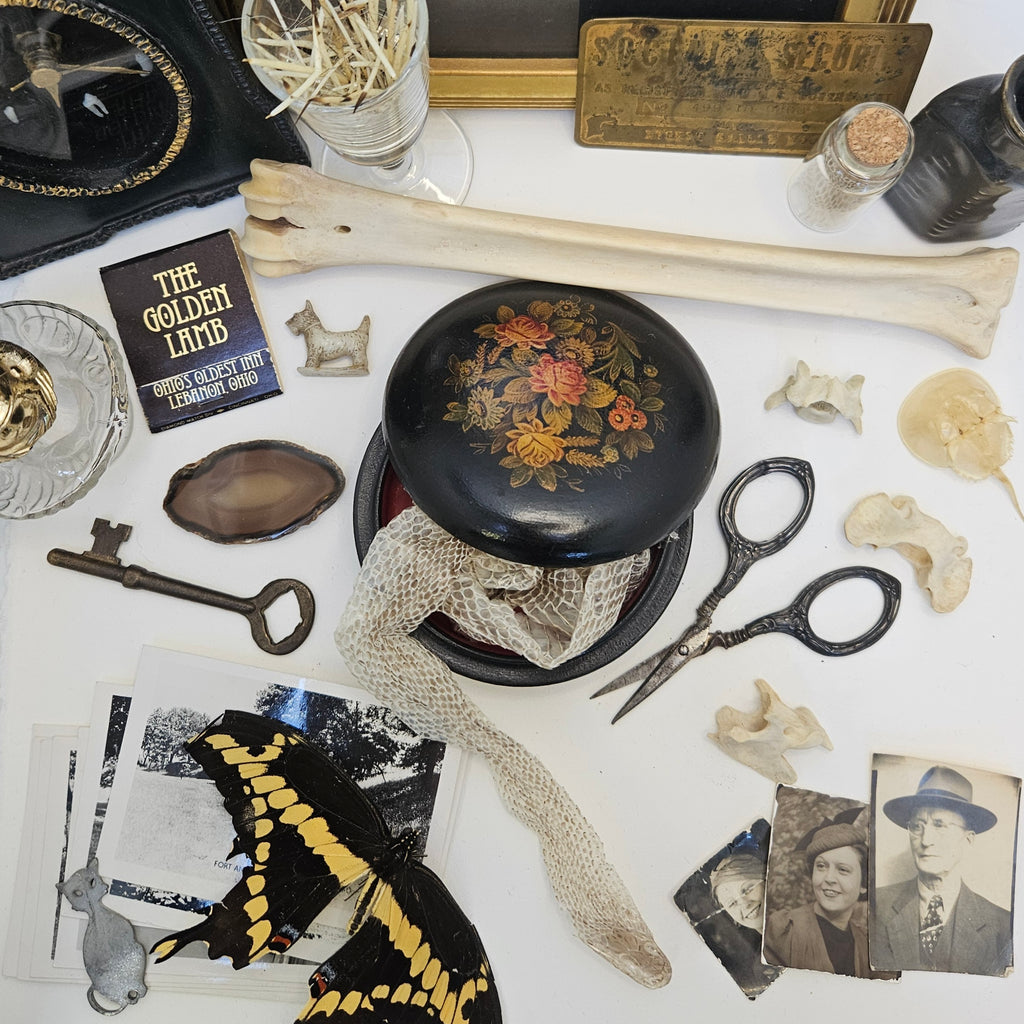 Cabinet of Curiosities Custom Mystery Oddity Box