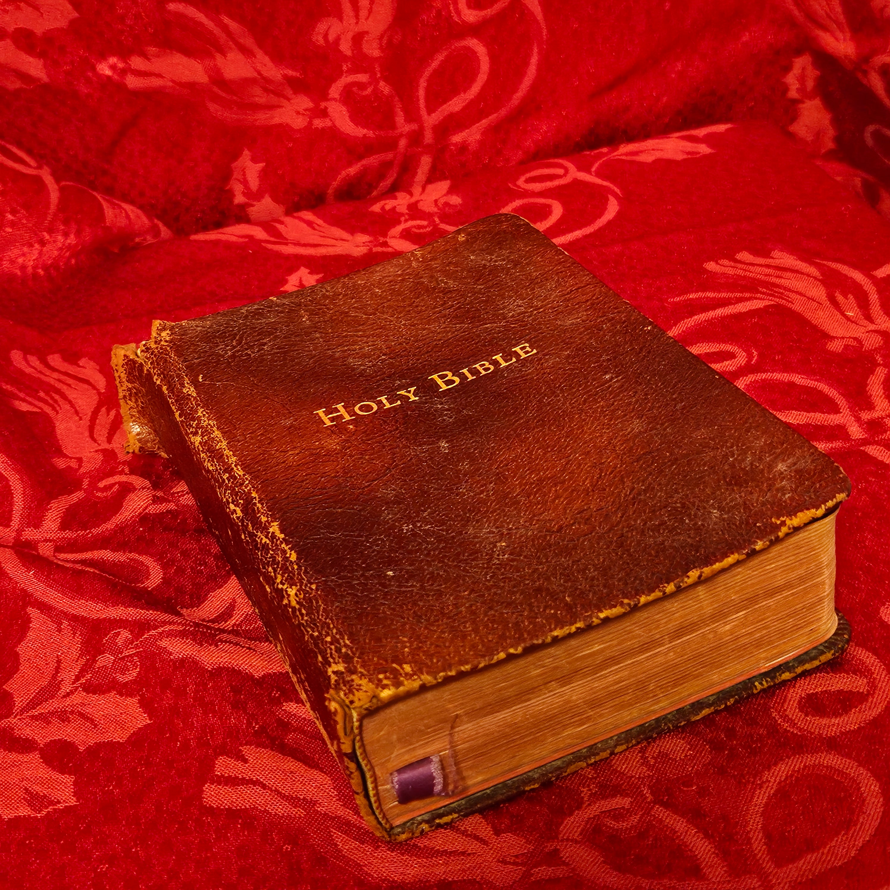 Vintage Leatherbound Bible