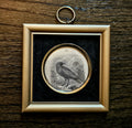 Antique Victorian Raven Framed Book Illustration