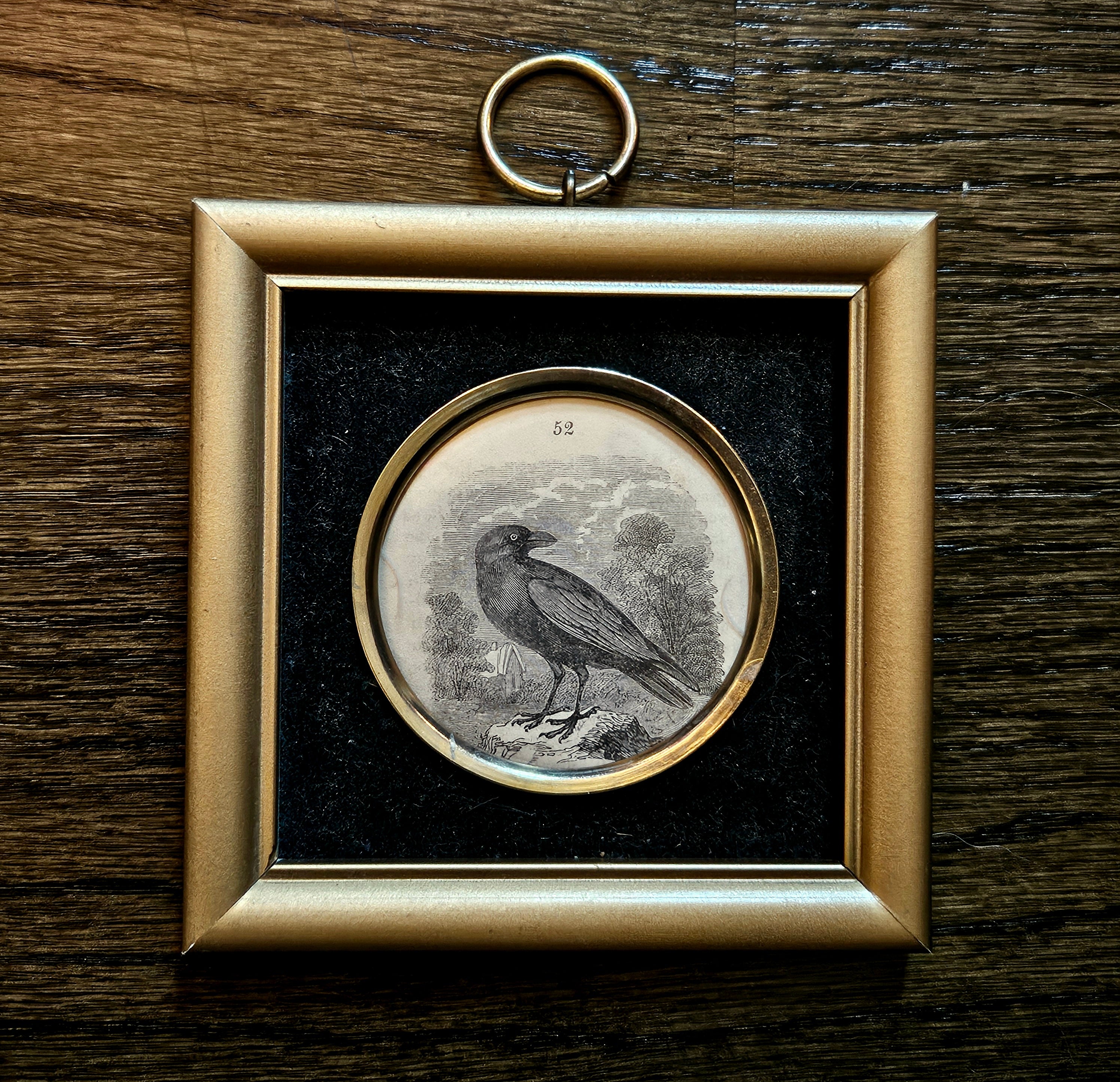 Antique Victorian Raven Framed Book Illustration