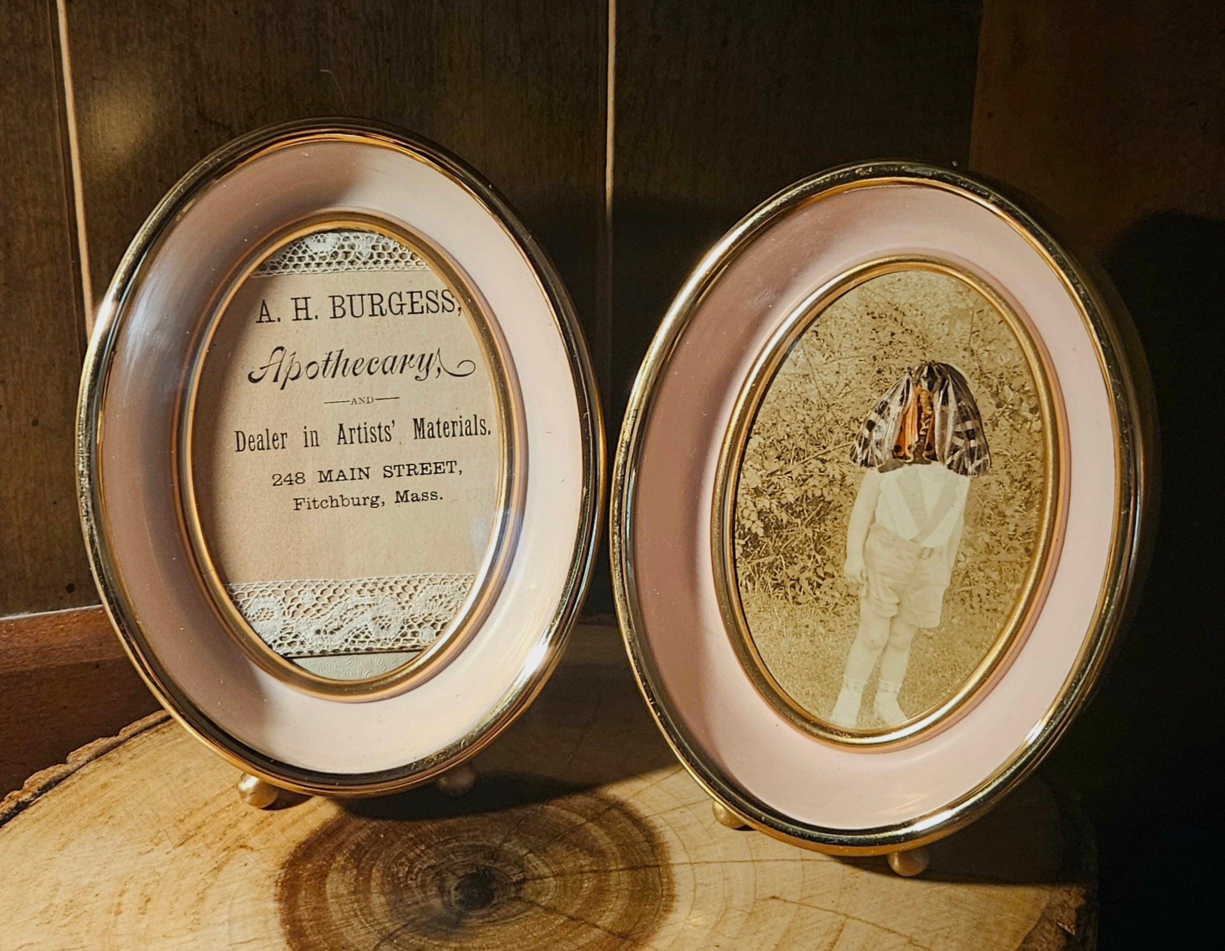 Antique Photograph & Tiger Moth Gold Oval Frame Shadowbox