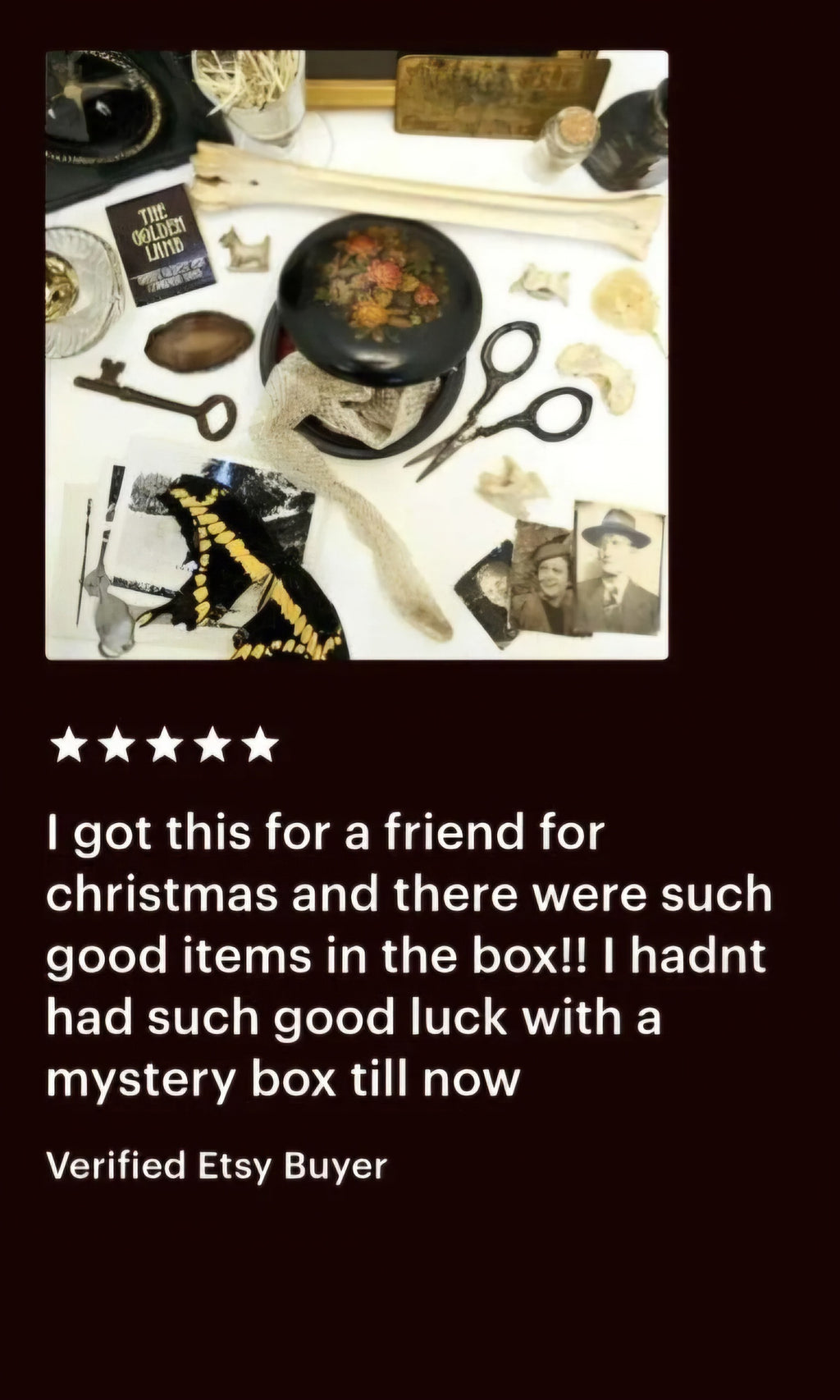 Cabinet of Curiosities Custom Mystery Oddity Box
