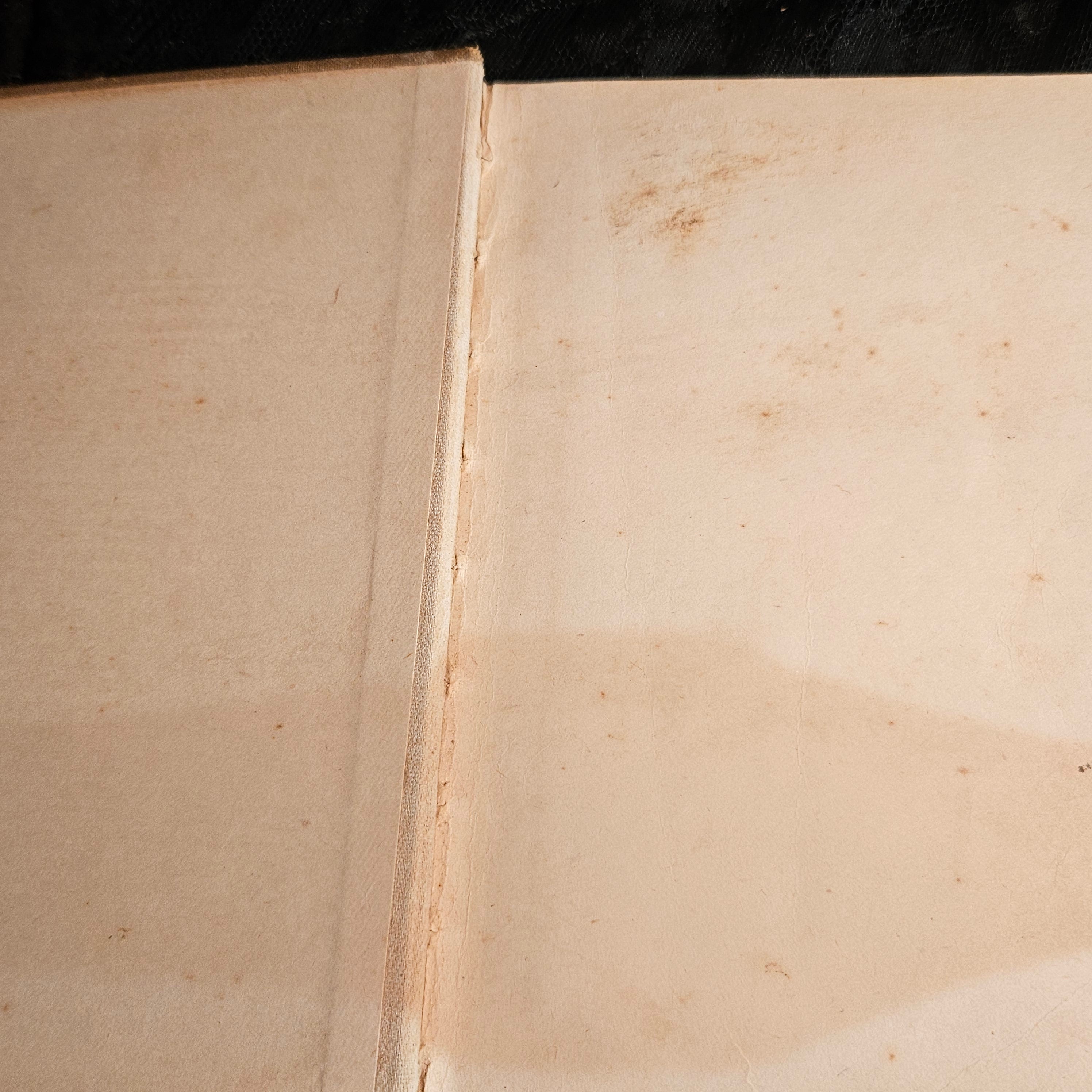 Mother Nature's Little People Antique Illustrated Storybook