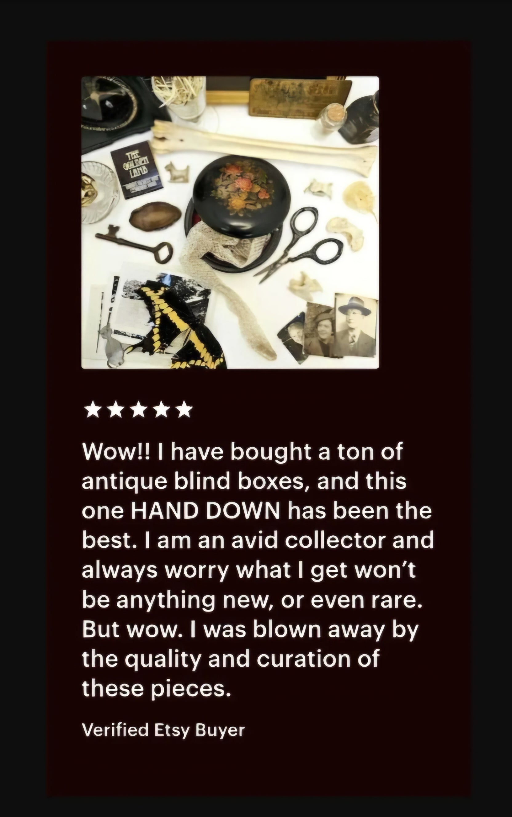 Cabinet of Curiosities Custom Mystery Oddity Box