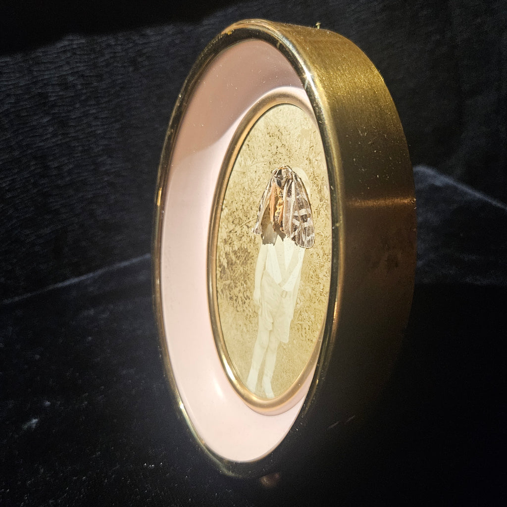 Antique Photograph & Tiger Moth Gold Oval Frame Shadowbox